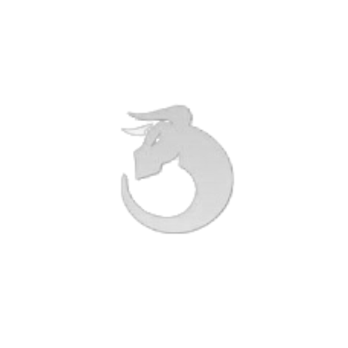 OE logo